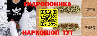стаф Бугуруслан