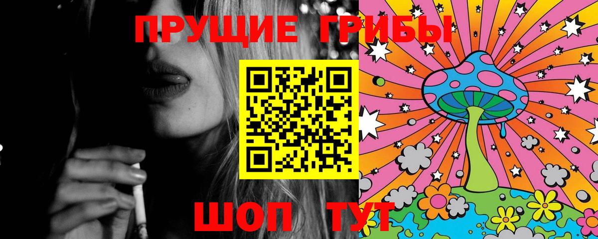Галлюциногенные грибы Psilocybine cubensis Армавир